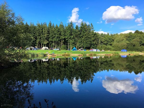 Church Stretton Camp and Fish (Oaklands)