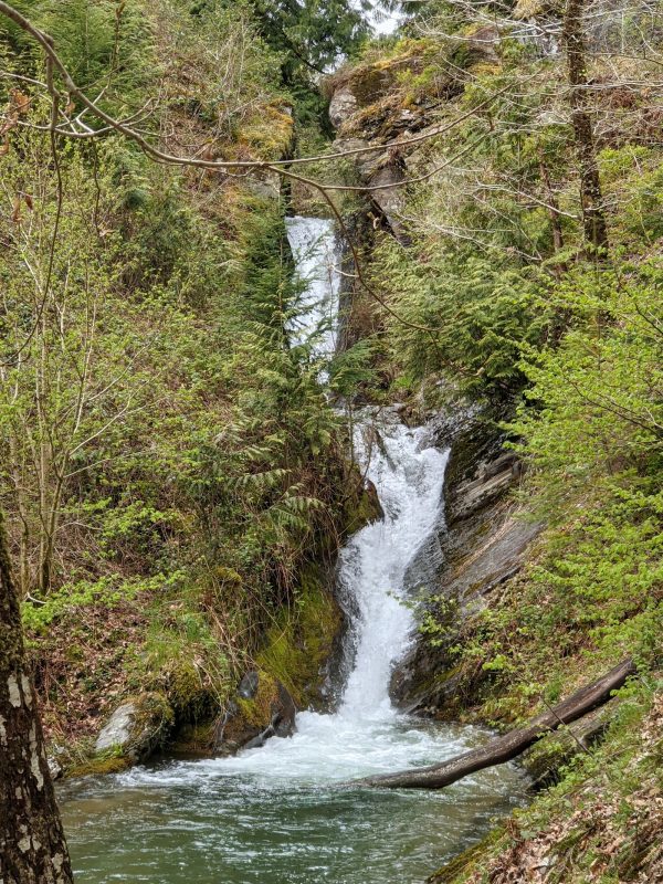Cil Y Coed
