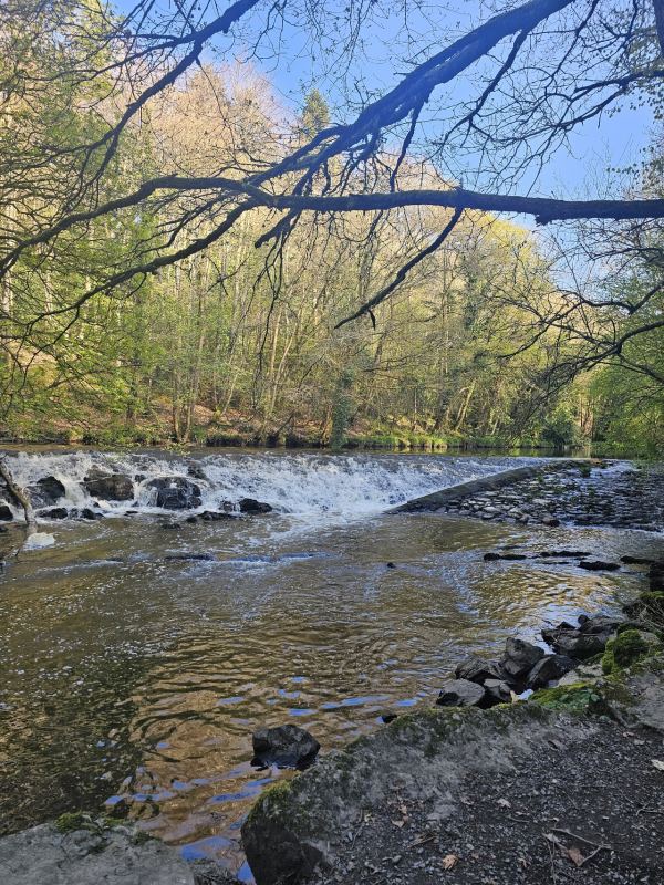 Clare Glen Caravan Park