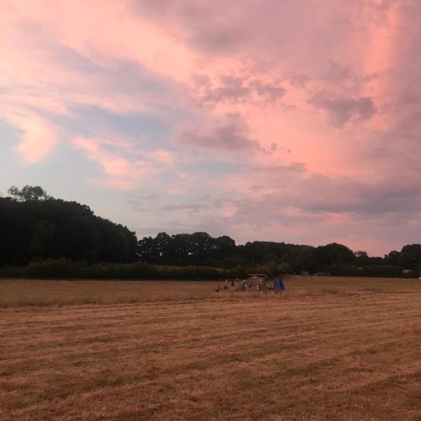Clarefield Copse Wild Camping