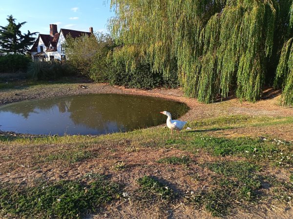 Clarks Farm Camping