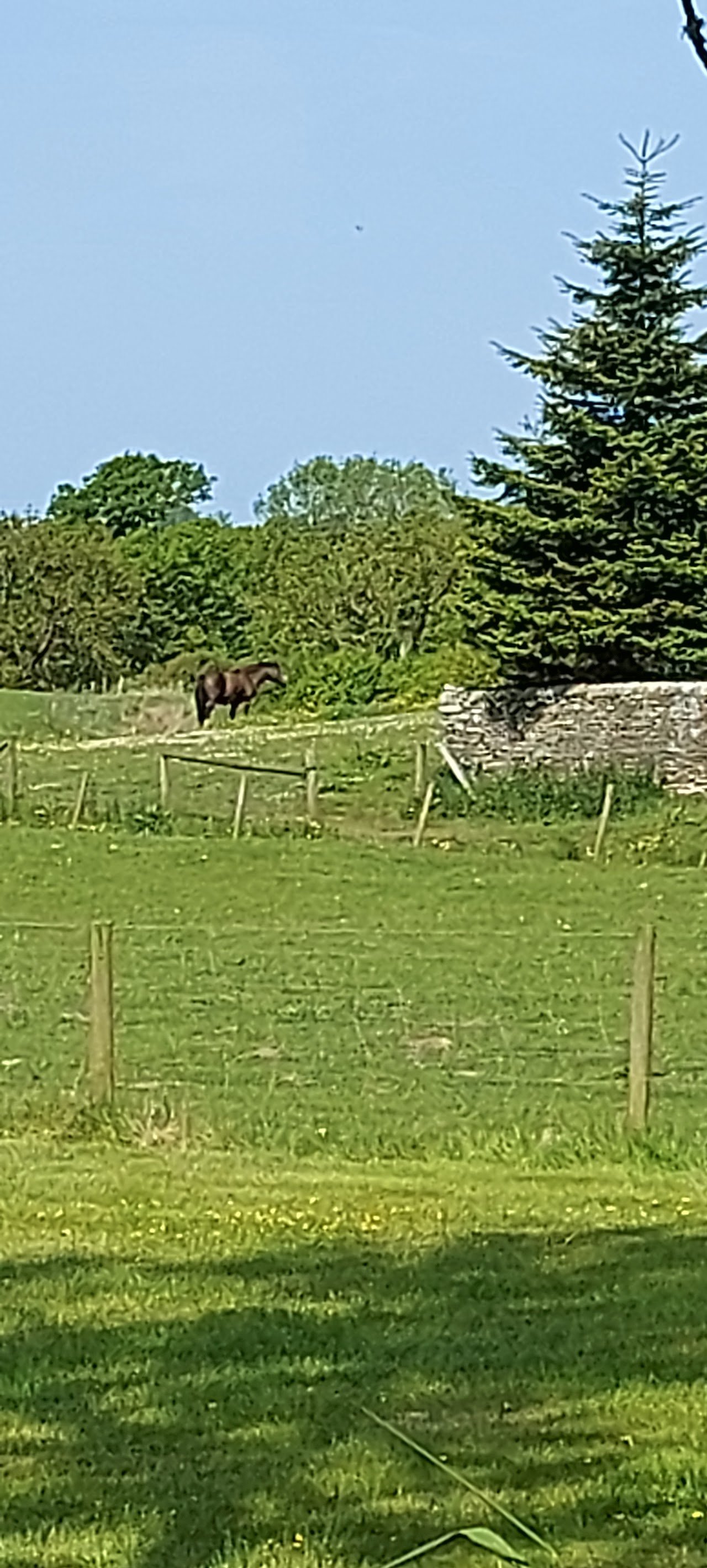 Clarks Hill Farm Certificated Location