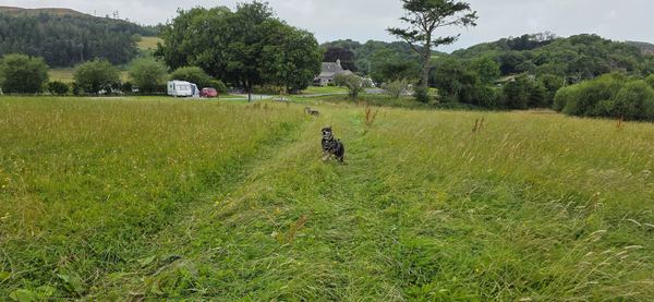 Claycroft Farm