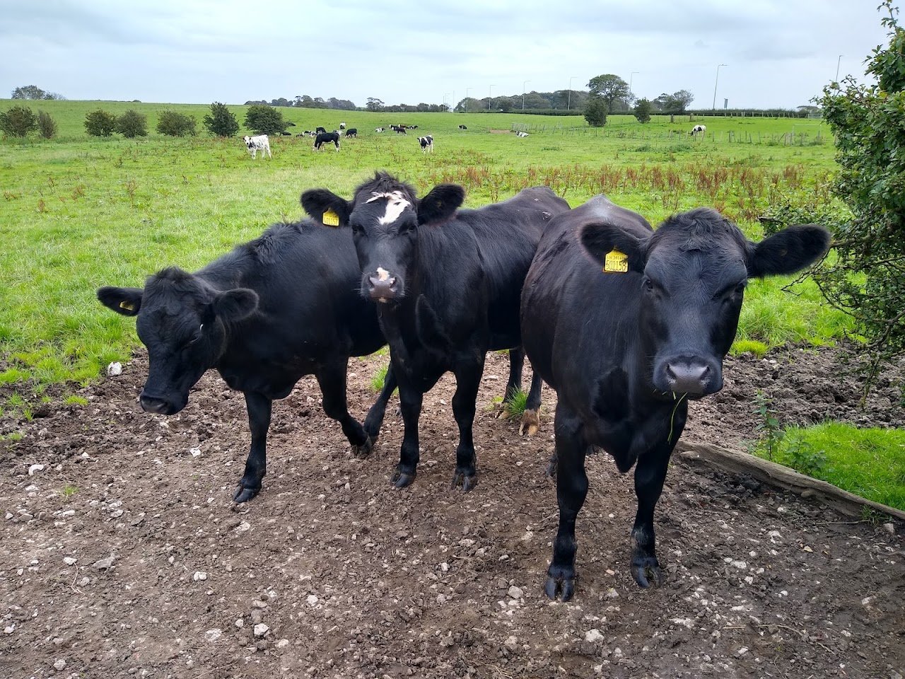 Cliftons Farm Certificated Location