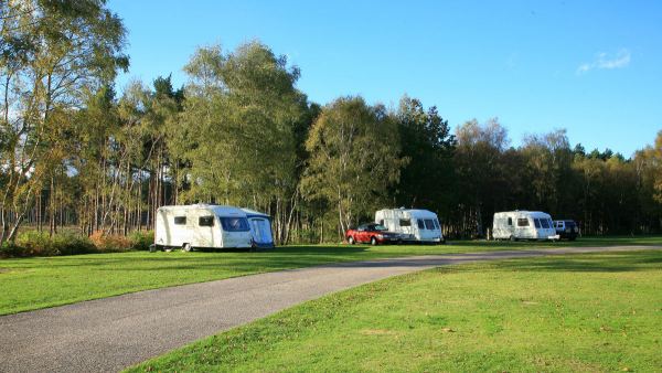 Clumber Park Caravan and Motorhome Club Site