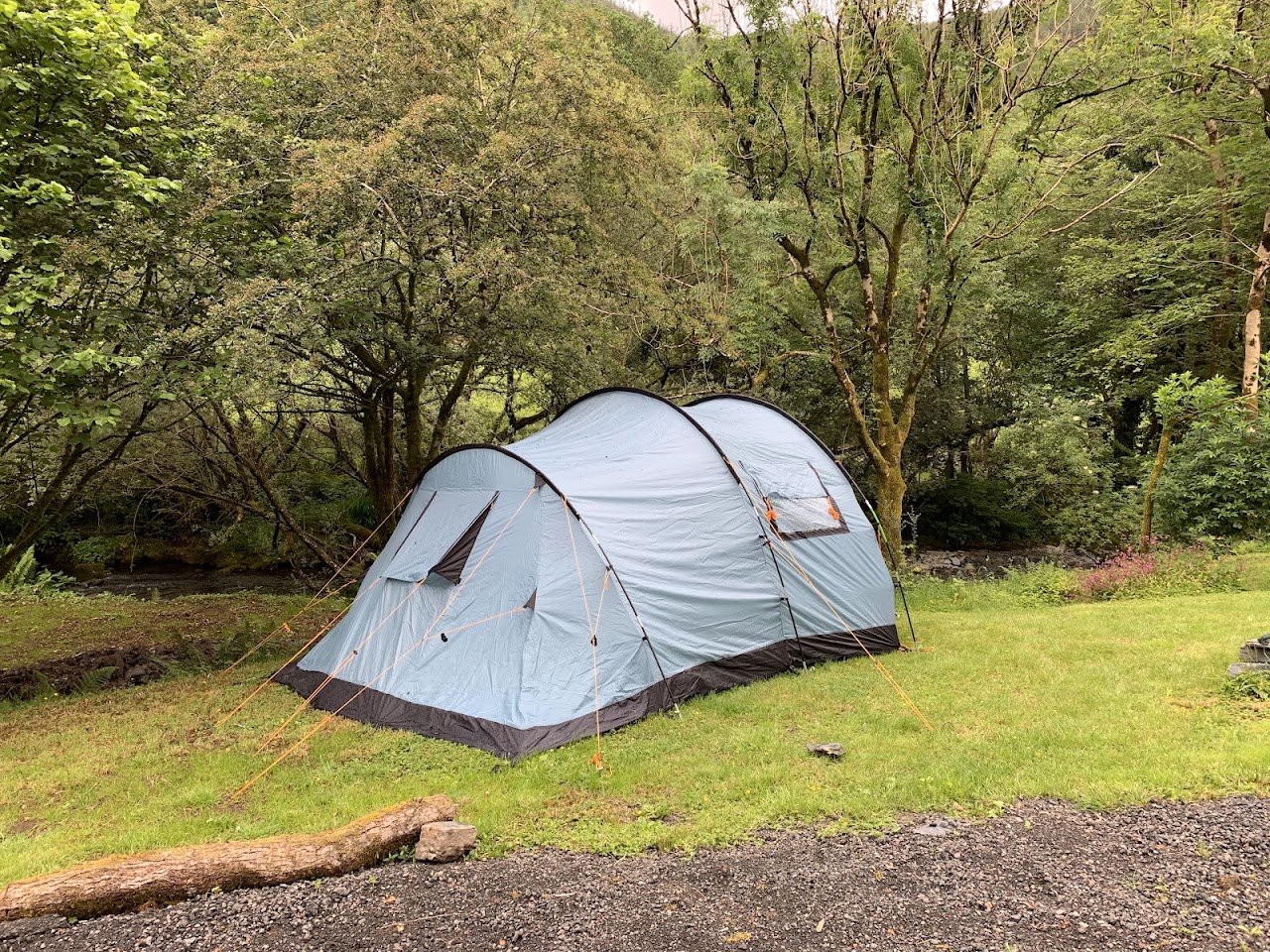 Coed Esgair Las Blue Ridge Woods Wildcamp