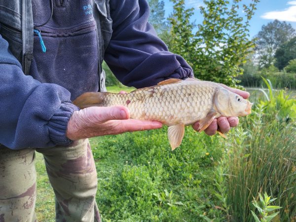 Colemans Cottage Fishery