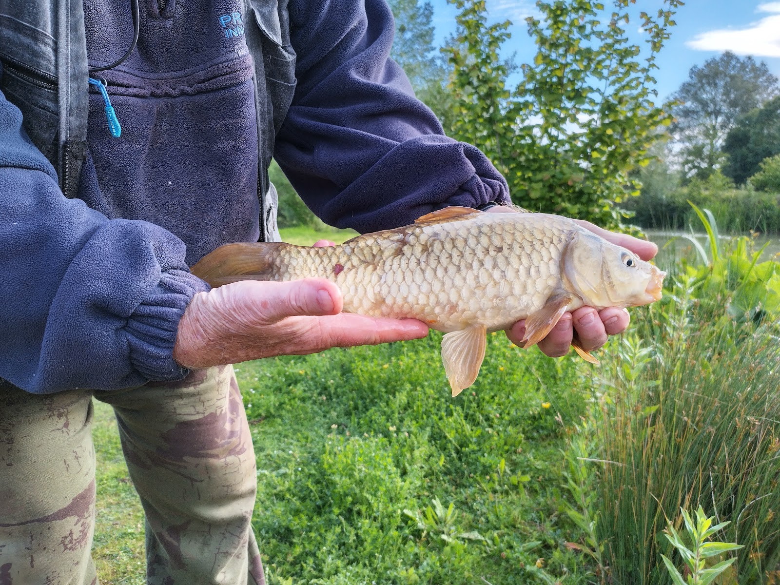 Colemans Cottage Fishery