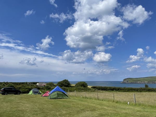 Conifers Camping