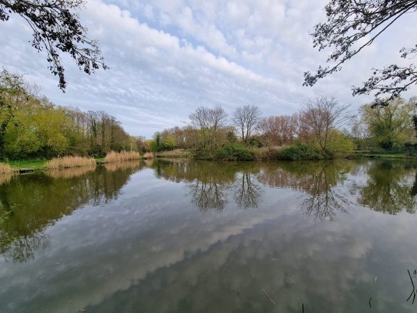 Cottington Lakes