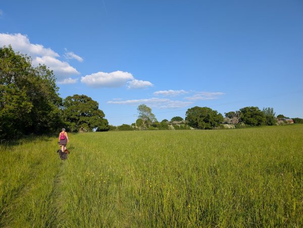 Court Farm Leisure Park