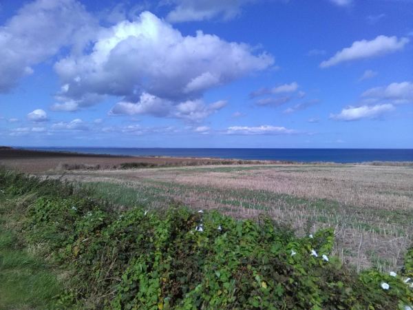 Cowden Holiday Park & Cross Keys