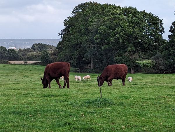 Crablake Farm Certificated Location