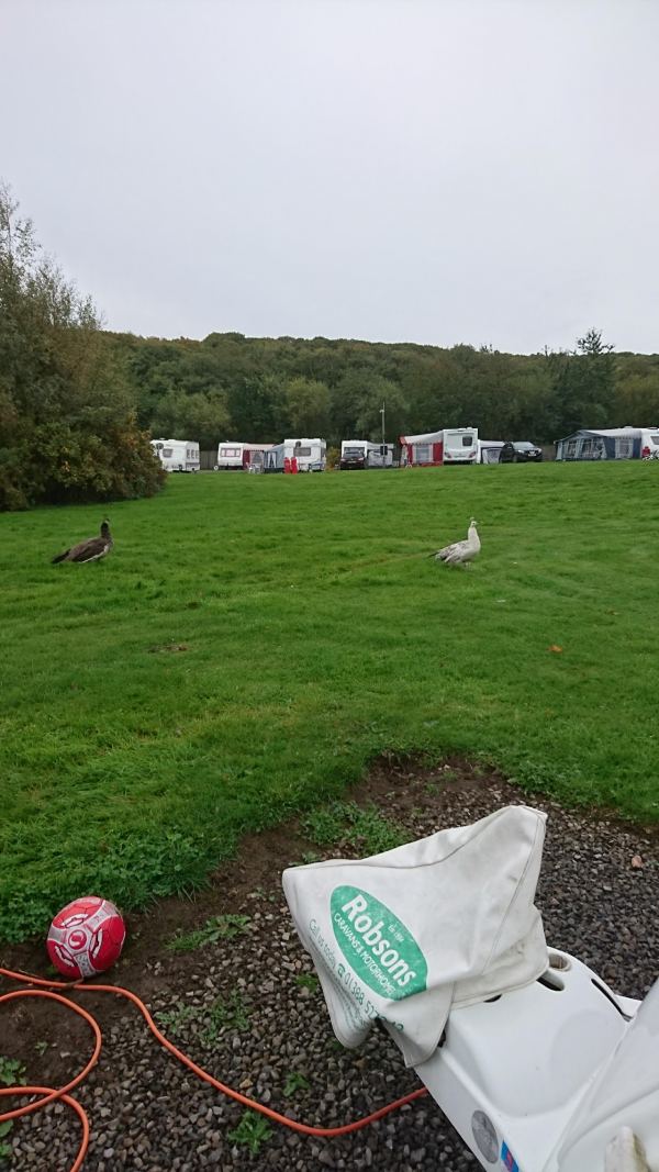 Craggwood Holiday Home Park