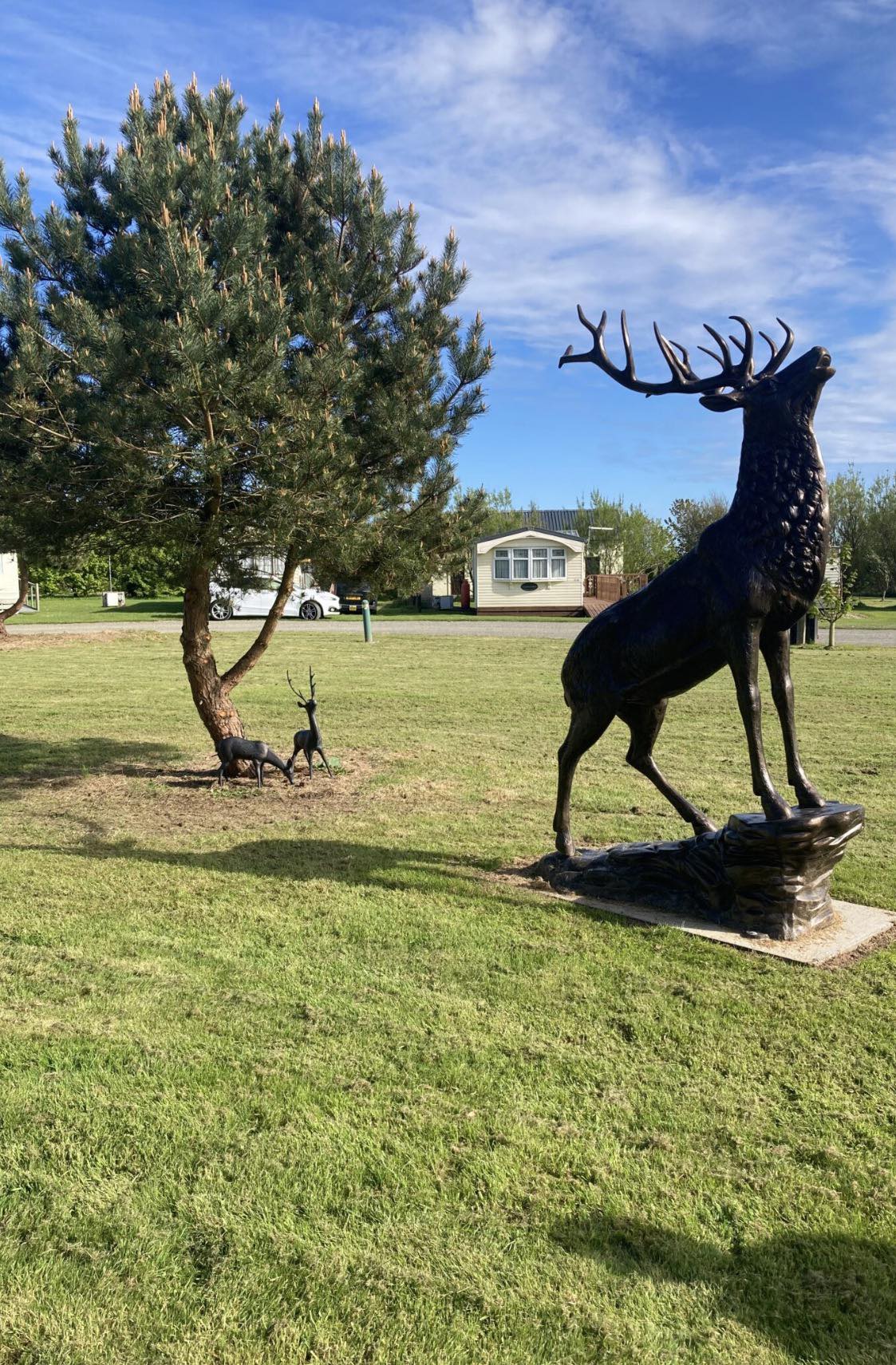 Craighead Holiday Park