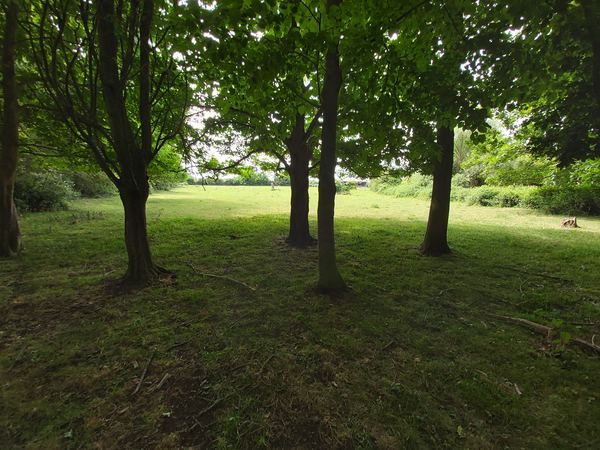 Cuckoo Fen Campsite
