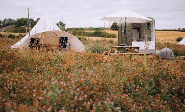 Cupid's Camping