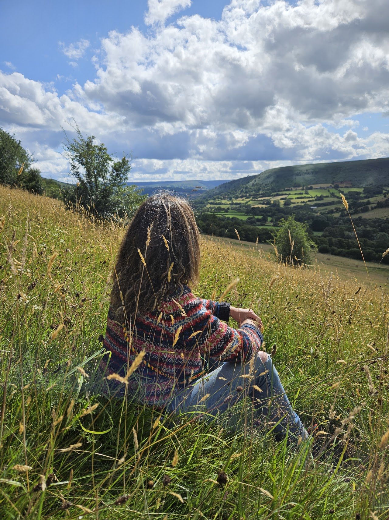 Cwmffrwd Farm Campsite