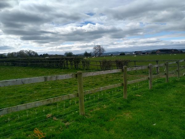 Cwybr Fawr Touring Site