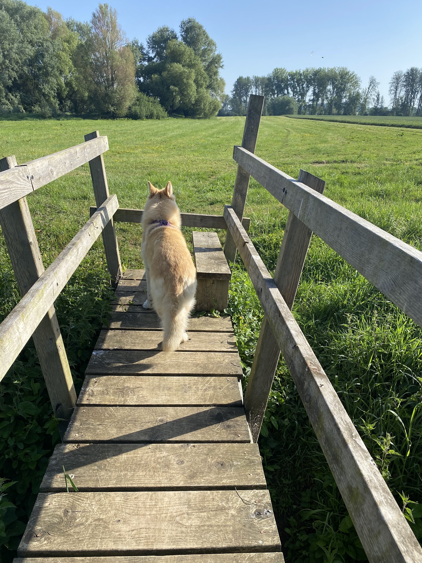 D'Oyleys Farm
