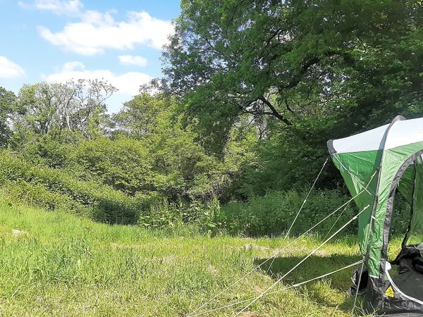 Dagger Wood Campsite