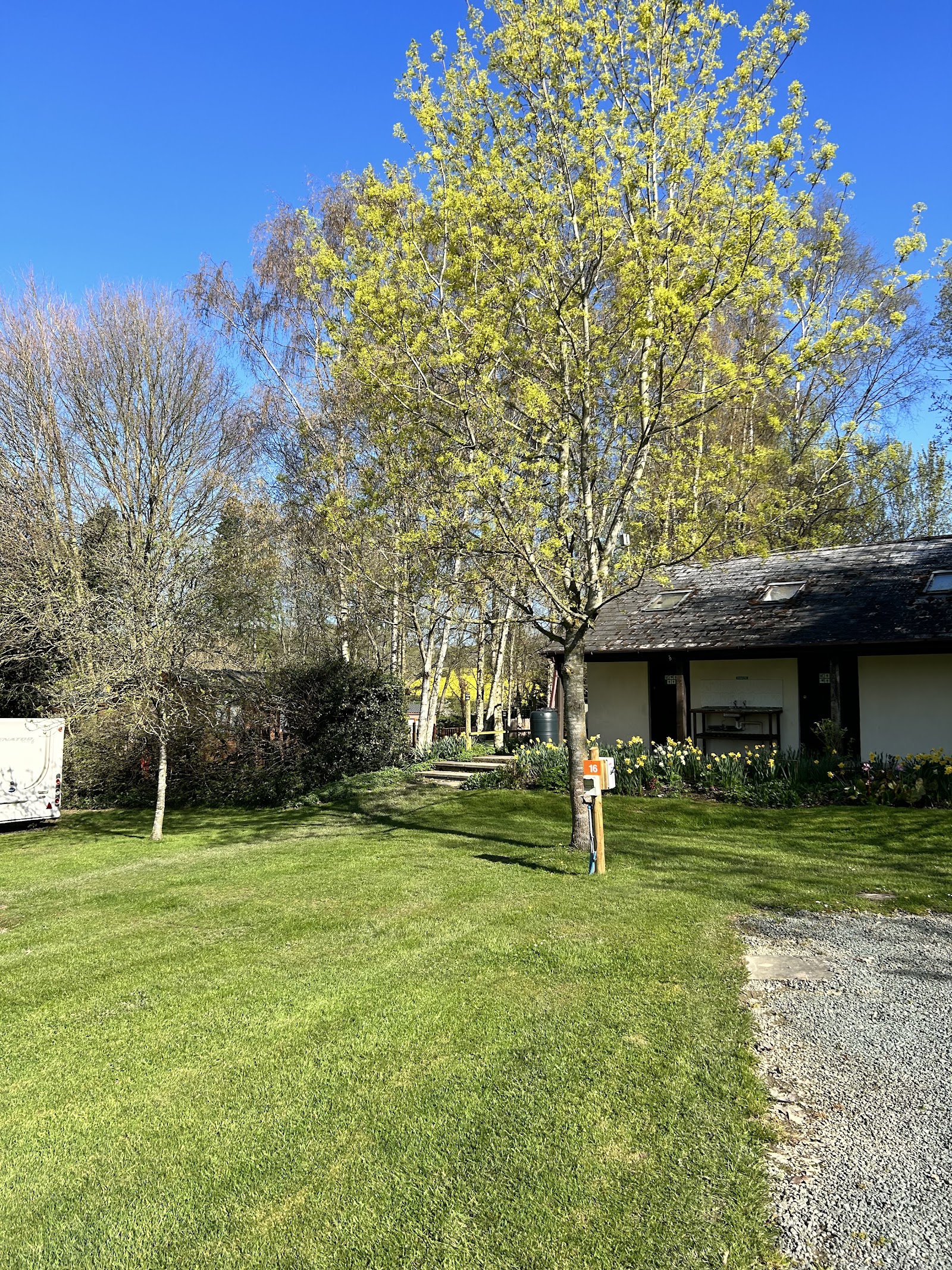 Daisy Bank Caravan Park