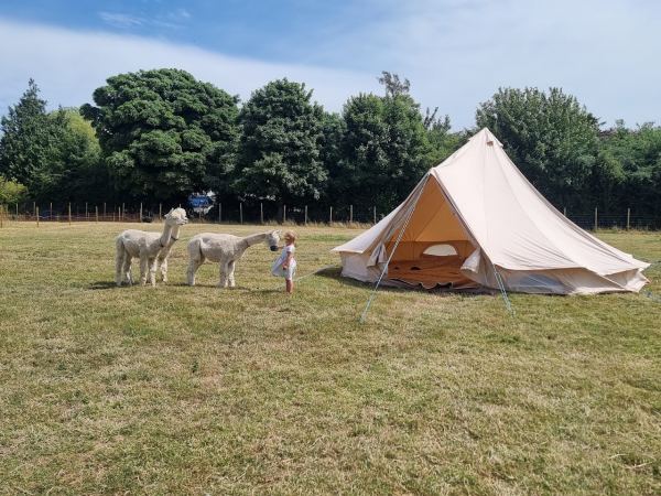 Daisy's Meadow Retreat