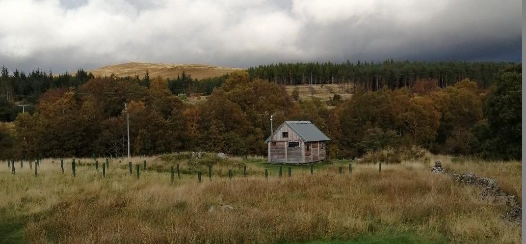 Dall Cottage Camping