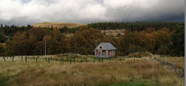Dall Cottage Camping