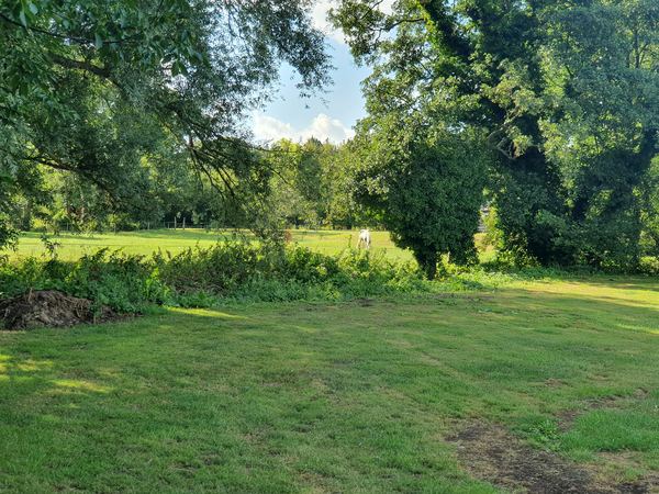 Dan's Meadow Certificated Site