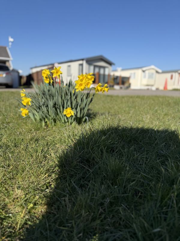 Dan-y-Graig Holiday Park