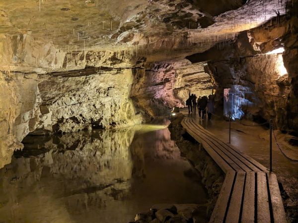 Dan-yr-Ogof Showcaves