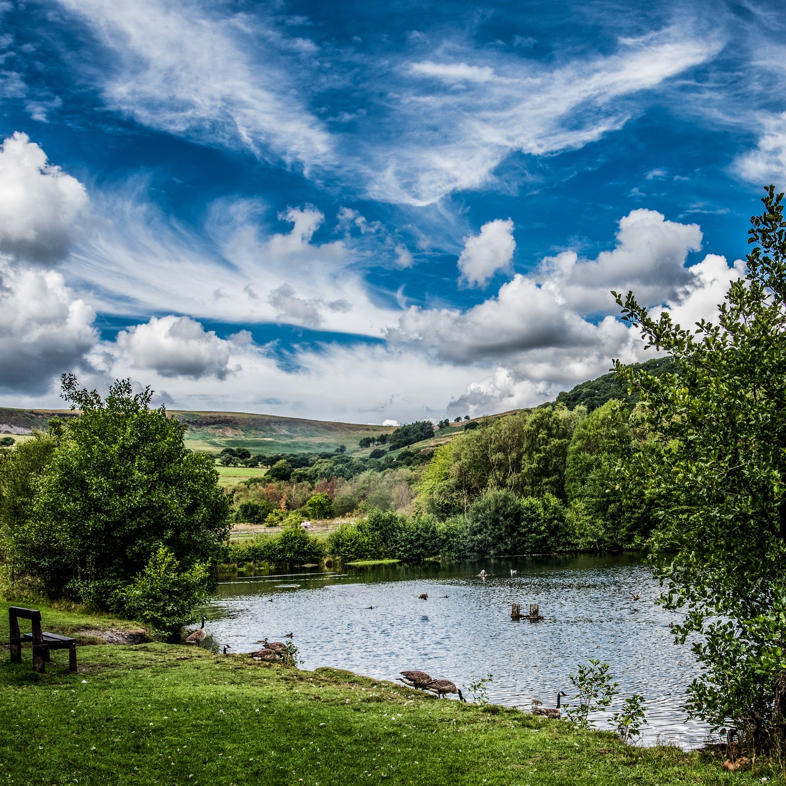 Dare Valley Country Park
