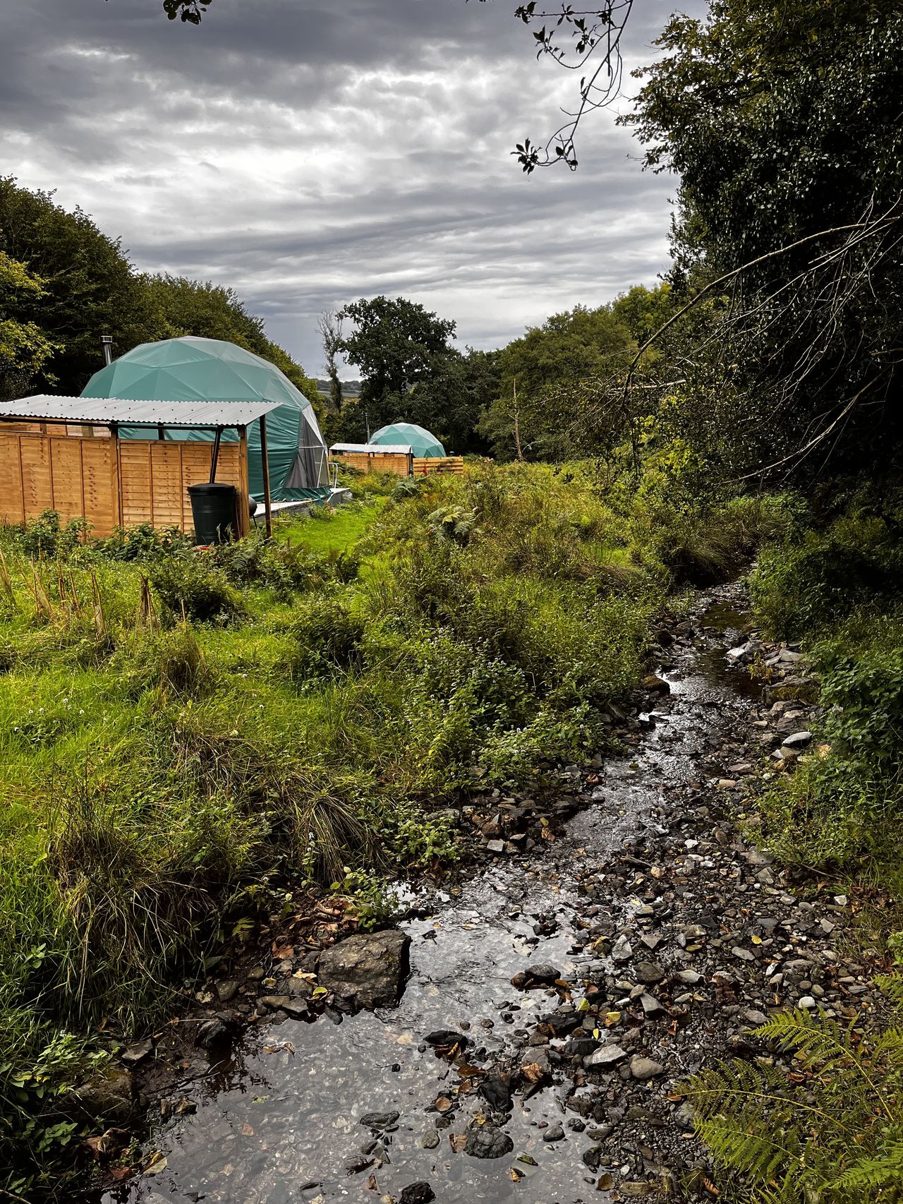 Dartmoor Domes