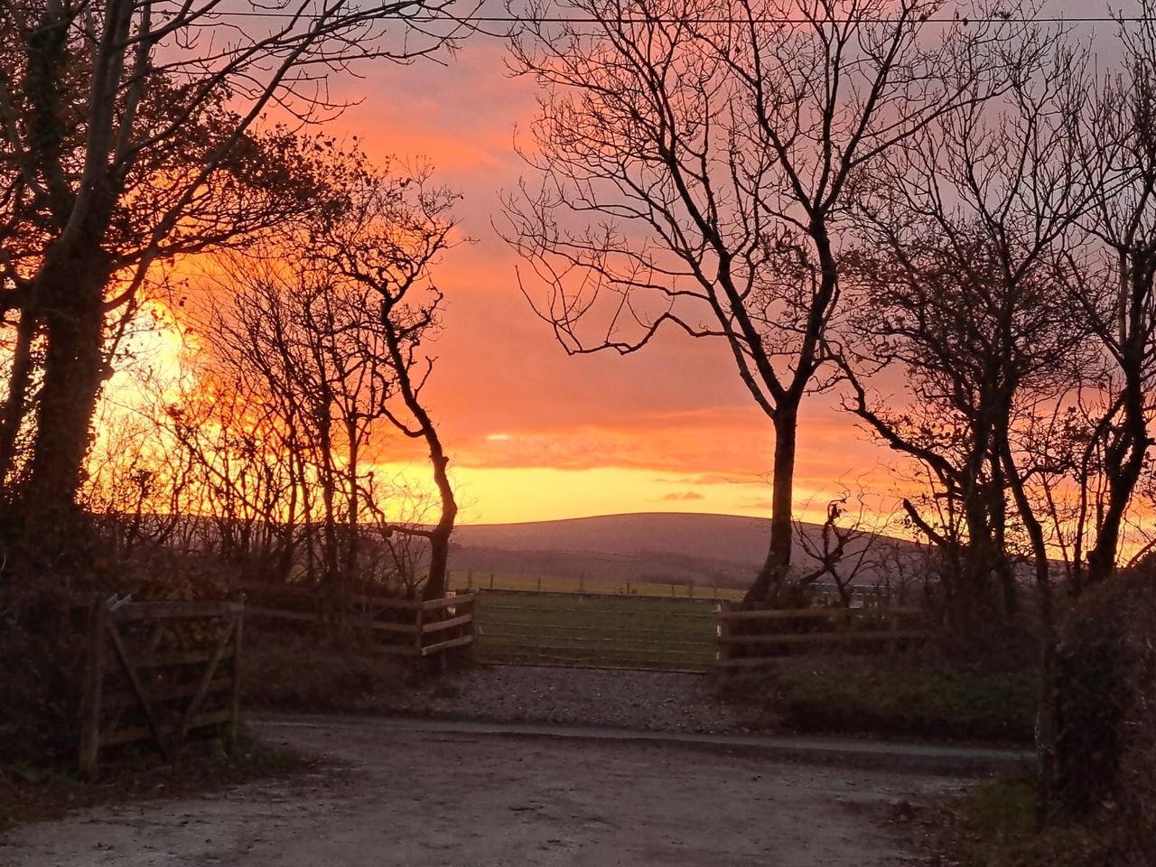 Davylands Farm Campsite