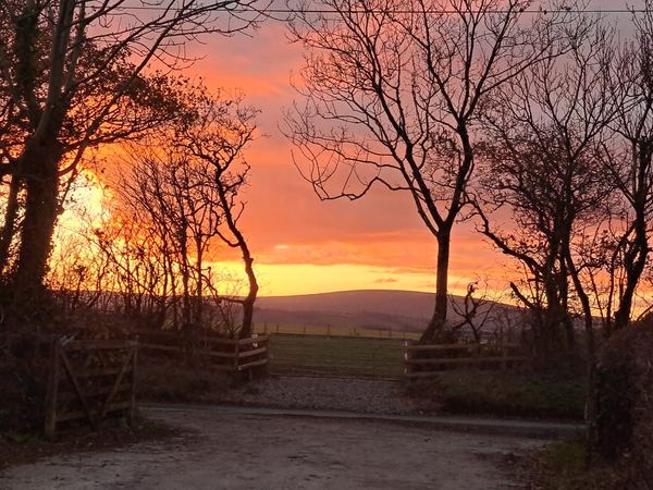 Davylands Farm Campsite