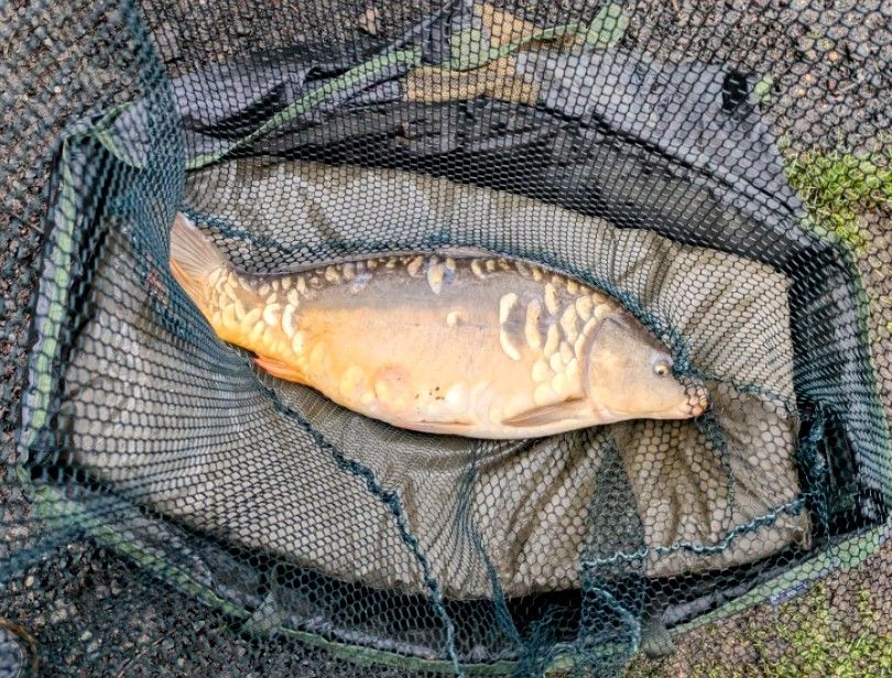 Dayhouse Farm and Fishery Certificated Site
