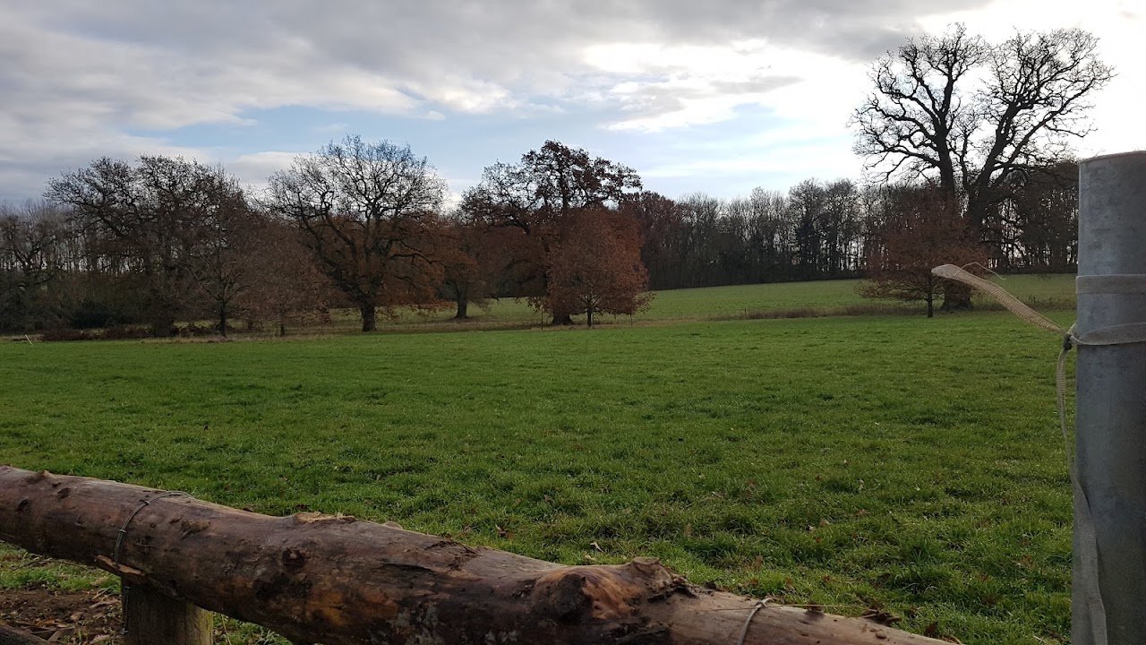 Debden Park