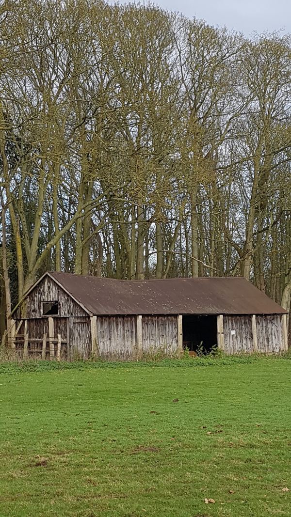 Debden Park