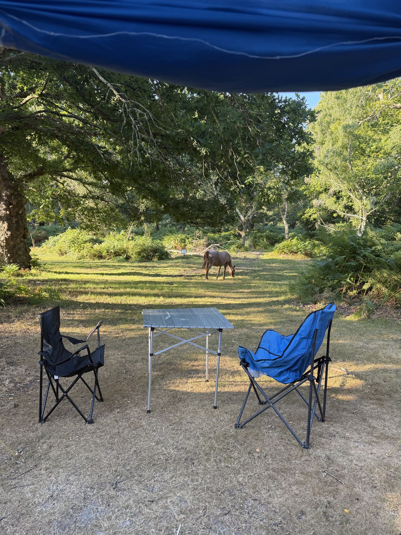 Denny Wood Campsite