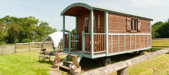 Digeddi Wildlife Camping