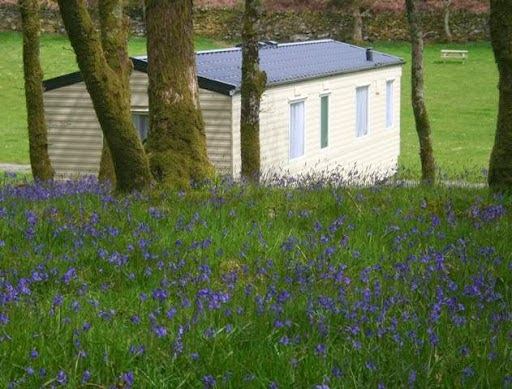 Dinas Caravan Park
