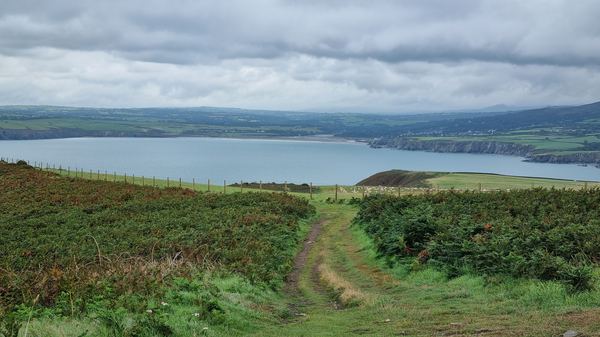 Dinas Island