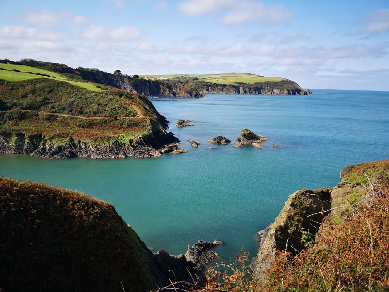 Dinas Island Farm