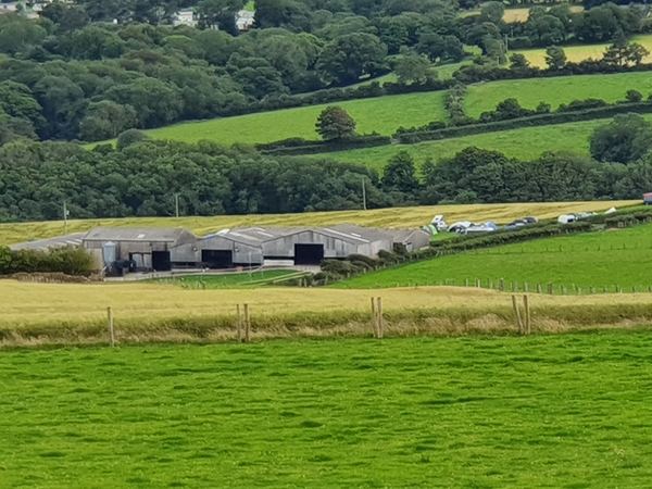 Dinas Island Farm