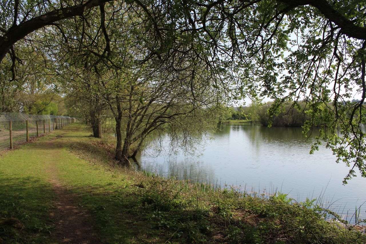 Dorset Springs Certificated Location