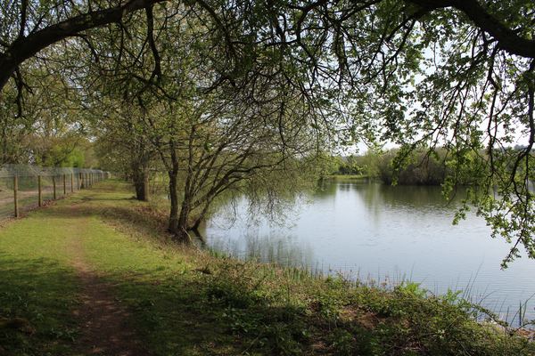 Dorset Springs Certificated Location