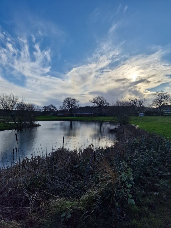 Dorset Springs Certificated Location