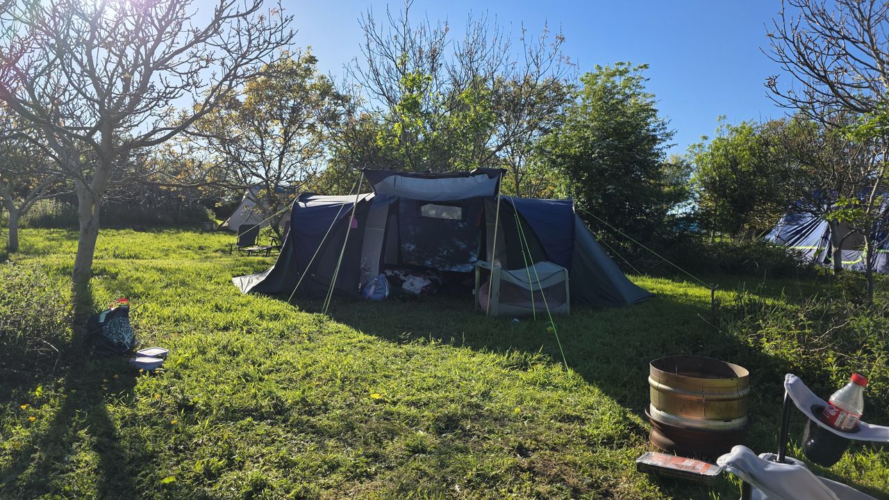 Dragonfly Camping