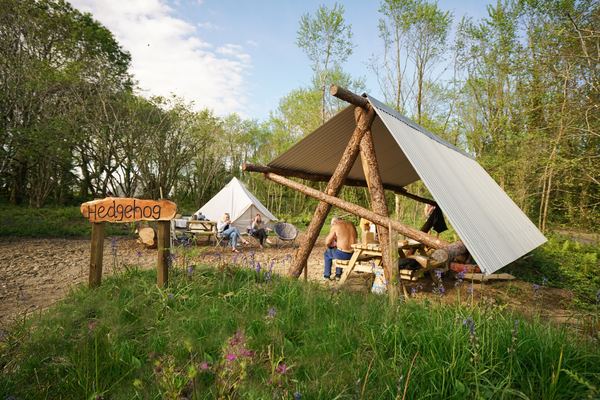 Dragonfly Camping